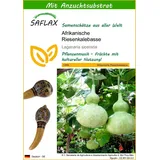 SAFLAX - Afrikanische Riesenkalebasse - 15 Samen - Mit keimfreiem Anzuchtsubstrat - Lagenaria siceraria
