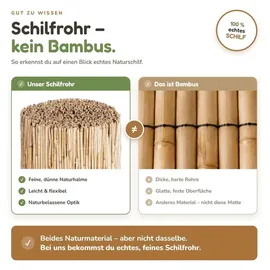 BooGardi Sichtschutzmatte 90 x 600 cm Beige Schilfrohr 1 St.