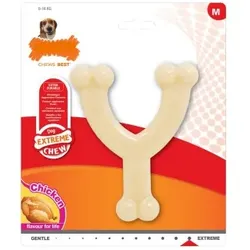 Nylabone Kauspielzeug für Hunde