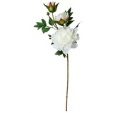Hti-Living Pfingstrose Weiß 74 cm Kunstblume Flora