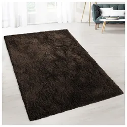 floordirekt Shaggy-Teppich Prestige   Braun