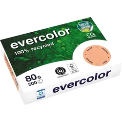Clairefontaine Kopierpapier Evercolor lachs, A4, 80 g/qm, aus 100 % Altpapier, ausgezeichnet mit dem Blauen Engel