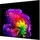 LG OLED77G67LW 77" 4K OLED evo AI Smart TV G6