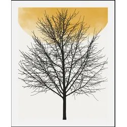 Bild QUEENCE "Bloom", schwarz (farbe rahmen: schwarz, farbe bild(er): schwarz), B:50cm H:70cm, Acrylglas, Papier, Holz, Bilder, gerahmt