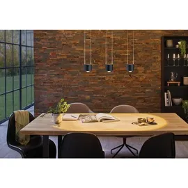 Paulmann URail LED Pendel Aldan schwarz-matt Ø 9,8 cm, warmweiß, dimmbar