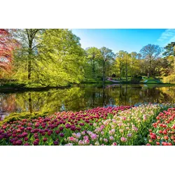 Fototapete PAPERMOON "GARTEN-BLUMEN BÄUME PFLANZEN STEINE WALD PARK BLÜTEN", bunt, B:3,00m L:2,23m, Vlies, Tapeten