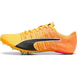 Spikes Leichtathletikschuhe Puma Teamwear evoSPEED Future 6 41