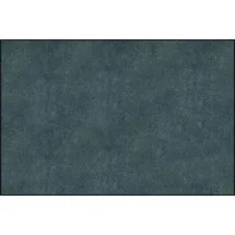 Wash+Dry Wohnteppich 120 x 180 cm Blau