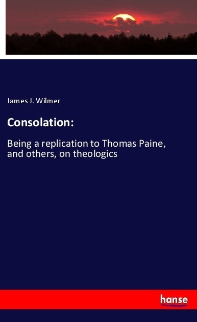 Consolation: - James J. Wilmer  Kartoniert (TB)