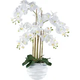 Creativ green Kunstorchidee »Orchidee Phalaenopsis«, im Design-Topf weiß