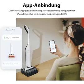 Roborock Flexi Nass-Trockensauger