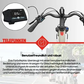 Telefunken RC680 28 Zoll RH 49 cm Damen grau