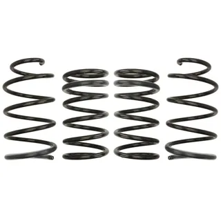 Eibach Pro-Kit E10-84-004-01-22