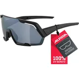 Alpina Rocket Sportbrille, all black matt, One Size