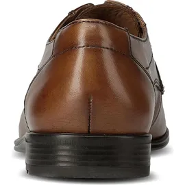 LLOYD Osmond braun 40