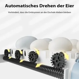 fudajo Vollautomatischer Flächenbrüter für 36 Eier 45 W