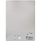 Clairefontaine 24389C Packung mit 25 Blatt Pollen, DIN A4, 210 x 297 mm, 210g, Perlmutt Silber