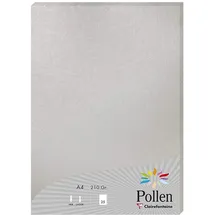 Clairefontaine 24389C Packung mit 25 Blatt Pollen, DIN A4, 210 x 297 mm, 210g, Perlmutt Silber