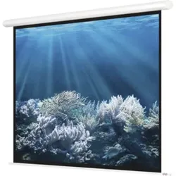 Magnetoplan Elektrische Leinwand Standard, 2400 x 1800 mm, 4:3