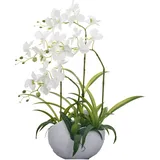 TreesHouse Premium Orchideen Künstlich 58 cm I Künstliche Orchideen wie Echt I Blumen Deko I Künstliche Orchidee im Topf I Hergestellt in der EU I 4 Stängel - 22 Blüten I Weiß (Blumentopf aus Beton)