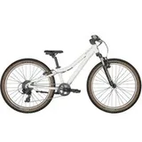Scott Contessa 24 2022