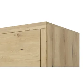 Smart Kleiderschrank Oslo 150 x 209 x 62 cm mehrfarbig
