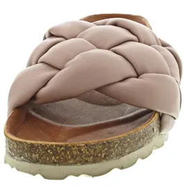 Verbenas Rai Roda rose 38
