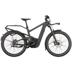 Riese & Müller Delite5 GT Pinion 800 Wh grau - 27,5" - 56 cm