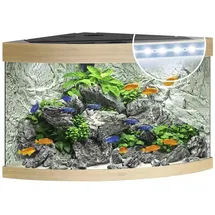 JUWEL AQUARIUM JUWEL Trigon 190 LED Hellbraun