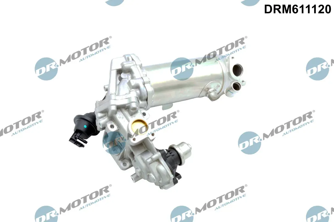 DR.MOTOR AUTOMOTIVE AGR-Ventil drm611120 für Ford
