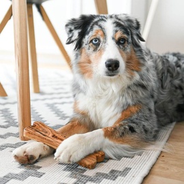 Wolters Hundespielzeug Olivi Knochen Kauspielzeug L (ca. 20 cm)