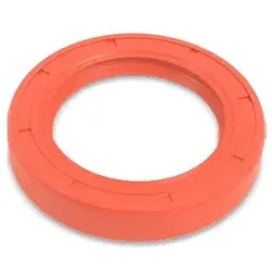 REINZ Wellendichtring, Automatikgetriebe BMW 81-10551-00 24137519352,24310403400,24317519352