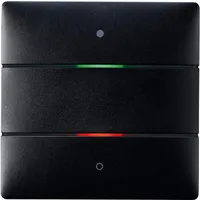 Theben Tastsensor LUXORliving iON2 BK