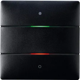Theben Tastsensor LUXORliving iON2 BK