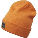 HELLY HANSEN WW Classic Cuff Beanie