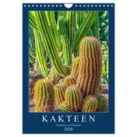 Calvendo Kakteen - Stacheliges aus Südamerika (Wandkalender 2026 DIN