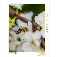 Calvendo Biene auf Obstblüten 1000 Teile Puzzle hoch |