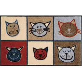 Wash+Dry Miau Miau 50 x 75 cm Bunt
