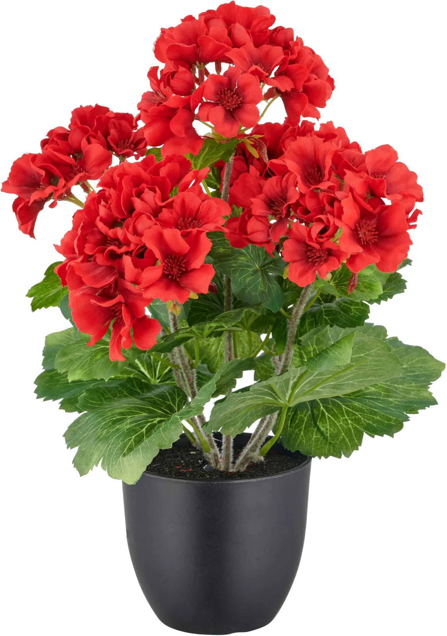 Kunstpflanze CREATIV GREEN "Geranie", rot, H:36cm, Kunststoff, Kunstpflanzen, in UV-beständiger Ausführung