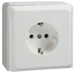 Elso 515524 Steckdose im Geräteträger verdraht. 2fach 16A RENOVIERUNG Schraubklemme reinweiß