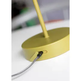 REMEMBER Oscar Fresh Grün