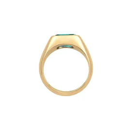 ELLI PREMIUM Ring Siegelring Edelstein Trend Statement 925 Silber