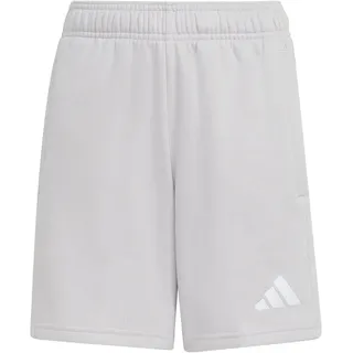 adidas Entrada 26 Sweatshorts Grau 164