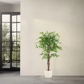 ML-Design Kunstpflanze Ficus 150 cm, mit Naturholzstamm