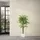 ML-Design Kunstpflanze Ficus 150 cm, mit Naturholzstamm
