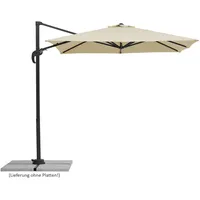 Schneider Rhodos Junior 230 x 230 cm natur