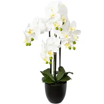 Creativ green künstliche Pflanze Phalaenopsis, 69cm