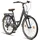 licorne bike gmbh Premium City Bike 28 Zoll RH 48 cm grau