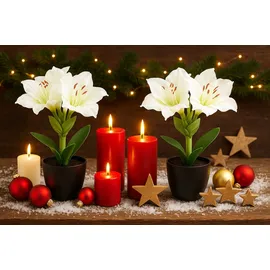 I.GE.A. Kunstblume I.GE.A. "Amaryllis im Topf", weiß, B:17cm H:28cm L:14cm, Polyester, Kunstpflanzen, 2erSet Blume Weihnachtsblume Weihnachtsdeko Winterblume Floristik Deko
