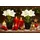 I.GE.A. Kunstblume I.GE.A. "Amaryllis im Topf", weiß, B:17cm H:28cm L:14cm, Polyester, Kunstpflanzen, 2erSet Blume Weihnachtsblume Weihnachtsdeko Winterblume Floristik Deko